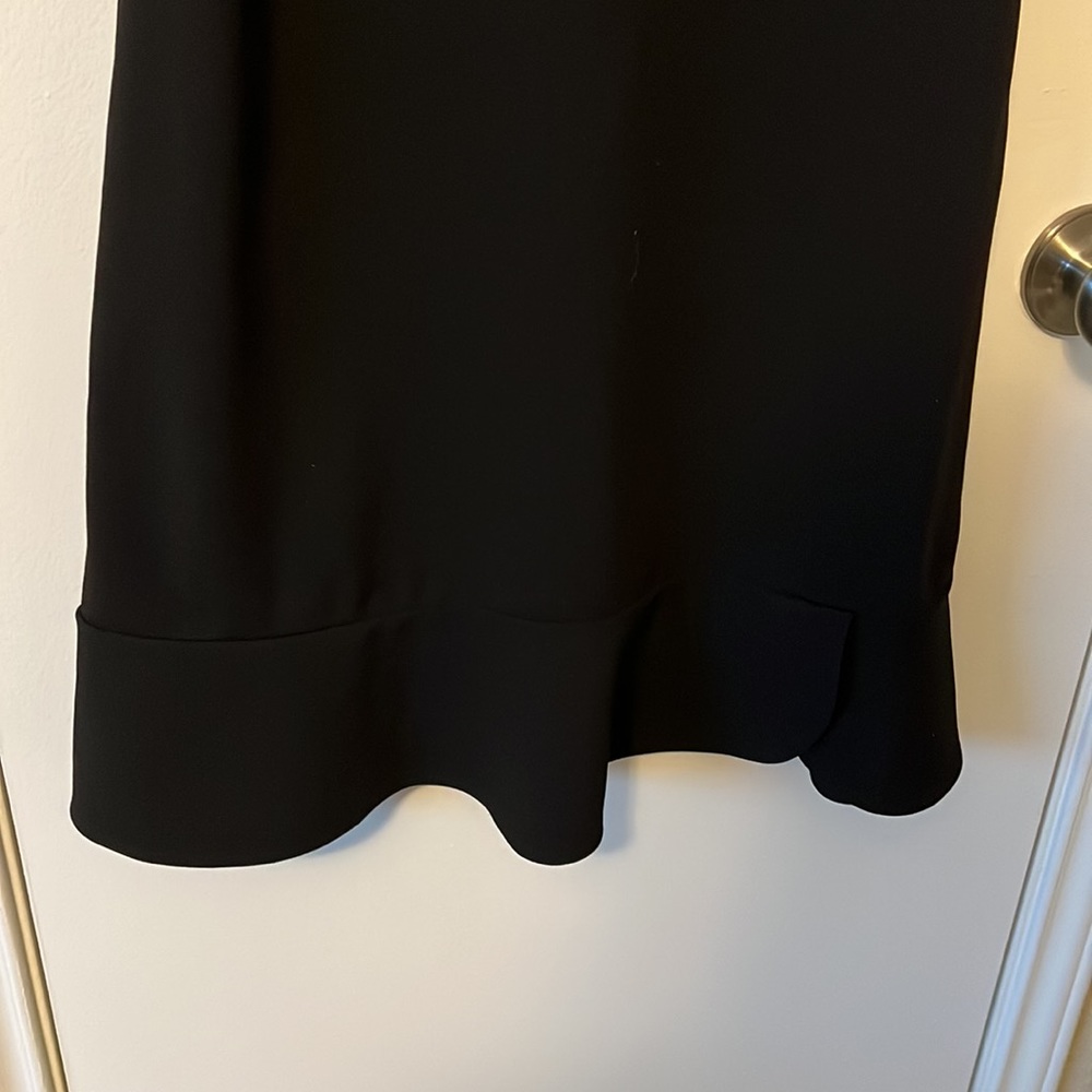 Express Dress - Picture 4 of 10